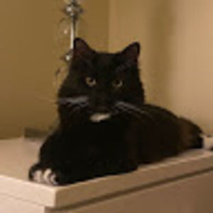 Meet your Posher, Eva